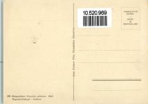Nr. 663 Jean Zeltner - Wegerich-Dickkopf , gute Erhaltung Schmetterling Künstlerkarte
