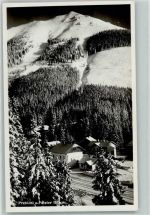 8700 Leoben - Prebichl Polster Winter Tanne