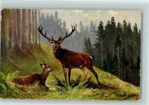 Hirsch u. Reh - Jagdtiere - gute Erhaltung Müller jun. (München)