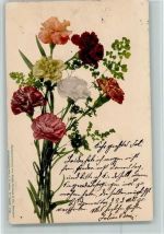 Farbenlichtdruck Nr. 619 - Nelken, Blumen AK Rommel 1901
