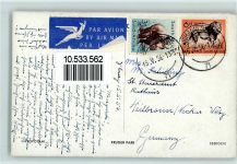 Hippotami aus Süd-Afrika AK Nilpferd 1956