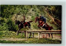 Serie 80 Springreiten , gute Erhaltung Hindernisreiten