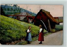Photochromie Serie 169 Nr. 3013 Verlag Nenke & Ostermaier Schwarzwaldhaus
