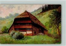 Bauernhaus AK Schwarzwaldhaus 1918 Künstlerkarte