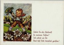 Verlag L.B..R. Serie 40-8 Junge mit Edelweiß läßt grüßen - Kind