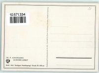 sign. P. Junghanns Verlag Hanfstaengl 280 Tiergespann Künstlerkarte