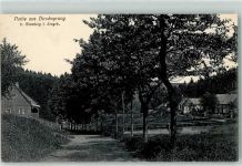 01773 O8242 Altenberg , Erzgeb - Hirschsprung Waldweg