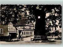 99842 O5907 Thal b Eisenach, Thür - Die alte Linde