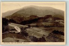 79691 W7861 Neuenweg - Gasthaus zum Haldenhof