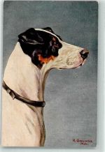 sign. Greimer A. München Serie 599 Jagdhund Künstlerkarte