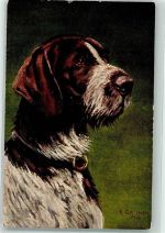 sign. Greimer A. München Serie 599 Jagdhund Künstlerkarte