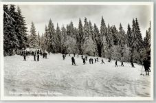 72270 W7292 Ruhestein Foto AK Winter