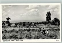 Nairobi 1958 Foto AK Pyrethrum Luftpost
