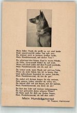Gedicht Mein Hundekamerad von Tappe Sanitätshund