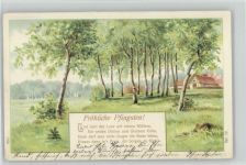 Birkenhain - Reim "Naht der Lenz ..... 1903 AK Pfingsten Prägedruck