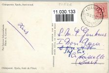 Chimpanse 1957 AK Affe