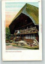 Bauernhaus 1899 color AK Schwarzwaldhaus