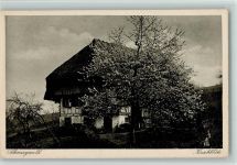 Schwarzwald Idylle die Kirschblüte , Werbung Rückseite: SABA Radio Apparate sind Meisterwerke Schwarzwälder Feinmechanik Schwarzwaldhaus