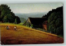 Serie II Nr. 14 Künstlerpostkarten aus dem Schwarzwald Harbers
