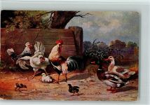 Serie 255 Hühner, Küken und Enten - Eckknick Schönian, A. Künstlerkarte