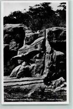 Zool. Garten Berlin - Robben Felsen ca 1937 AK Zoo