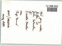 Original Autogramm Ingeborg Thomé, ZDF Mosaik Deutscher Fernsehfunk