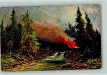Waldbrand 1909 AK Feuer Künstlerkarte