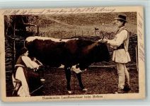Landbewohner beim Melken der Kuh - Volkstypen Trachten Rumänien 1918