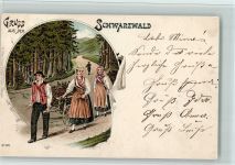 Reisigsammler - Gruss aus - gute Erhaltung Volksleben Schwarzwald Lithographie