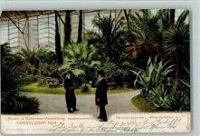 W4000 Düsseldorf Offiz. AK Nr. 113 Palmengruppen 1904 AK Gartenbauausstellung