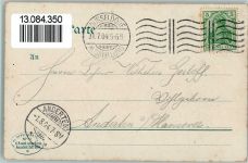 W4000 Düsseldorf Offiz. AK Nr. 113 Palmengruppen 1904 AK Gartenbauausstellung