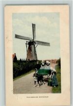 Walersche Hondekar AK Hundekarren 1913