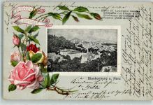 O3720 Blankenburg (Harz) Gesundheitskaffee von Krause & Co Nordhausen Rosen + Passepartout Lichtdruck Kaffeewerbung Lithographie