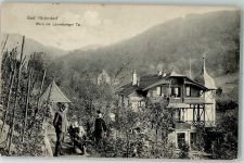 53604 W5340 Rhöndorf , Rhein Foto AK Löwenberger Tal Weinberg Villa