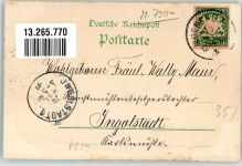 Gruss aus Zool. Garten , Bärenzwinger, Affenhaus , Aussichtsturm Kunstanstalt Rosenblatt Zoo 1899 Lithographie