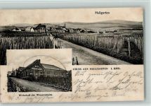 65375 W6227 Hallgarten , Rheingau 1904 - Wirtschaft des Winzervereins AK