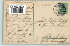 17258 O2082 Feldberg , Meckl 1911 - Strelitzerstrasse , Kinder mit einem Fahrrad AK