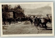 Shkodra Skutari Foto AK Esel Tragtierkolonne