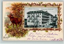 72290 W7298 Schömberg , Kr Freudenstadt 1906 Lithographie / Prägedruck Passepartout Jagd Hirsch Süddeutsche Heilanstalt