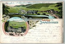 78194 W7717 Immendingen 1904 Lithographie Bahnhof Restauration Ambs Zimmern Donauthal