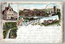 04680 O7241 Colditz 1898 Lithographie Rathaus Wettinturm Kgl. S. Landes-Anstalt Partie im Tiergarten