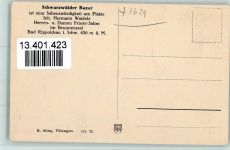 W7624 Bad Rippoldsau Schwarzwald Bazar Laden - Innenansicht ca 1925 AK Kaufhaus