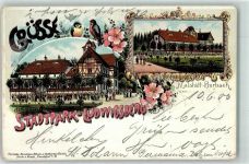 66111 W6600 Malstatt 1900 Lithographie Stadtpark Ludwigsberg Gasthaus