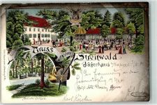 04654 O7233 Frohburg Lithographie Streitwald Gasthaus Jägerhaus Altes Schloss