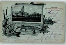 17166 O2050 Teterow 1898 Mondschein Landeslehrerversammlung 1898 Schulhaus Hecht