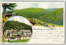 Bärenburg 1901 Gebrauchsspuren Reh Hirsch Gasthaus-Pension Lithographie