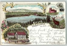 77889 W7596 Seebach , Baden 1899 Lithographie Signalturm-Hornisgrinde Mummelsee Gasthaus Wolfsbrunnen Hirsch