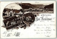 72108 W7407 Bad Niedernau 1892 Gebrauchsspuren Vorläufer Waldhaus Bad-Hotel Neues Kurhaus Lithographie