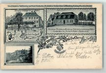 91207 W8560 Lauf a d Pegnitz 1904 Lithographie Ehem. Forsthaus Gasthaus Meier