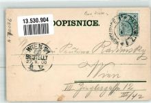 Pardubice 1900 Lithographie Denkmal v. Cousins Veverk Schloss